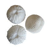 Urchin Mini Indoor/Outdoor Light C