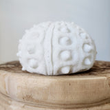 Urchin Mini Indoor/Outdoor Light C