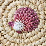 Pecten Pallium Scallop Shell | 5-6.5cm
