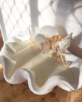 Clam pina colada crystal shell candle