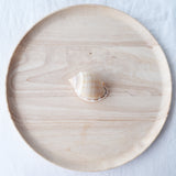 Cassis Shell | 7-8.5cm