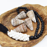 Cone Shell | Conus Litteratus | 8-9cm