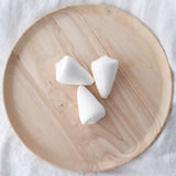 White Cone Shell | Conus Quericinus | 8-9cm