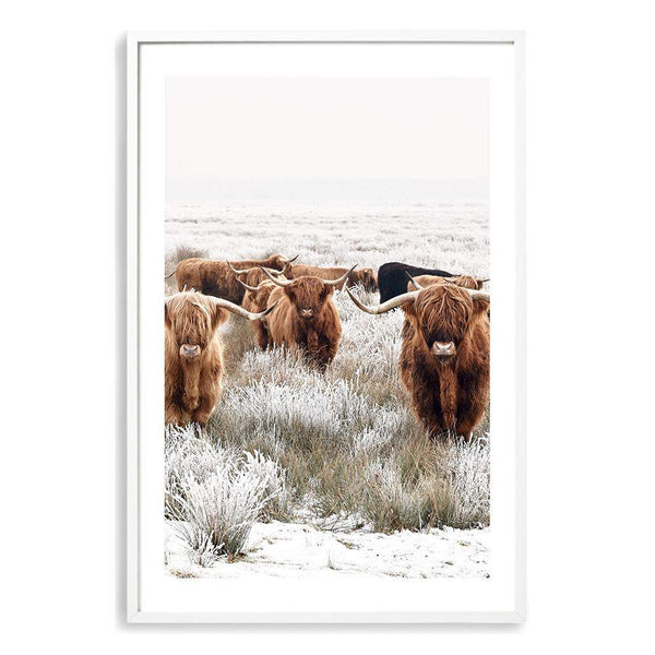 Highland Cattle-Boho Abode-Art Print,Bohemian,Boho,bull,Canvas,cow,Framed Print,highland bull,highland cattle,Highland cow,portrait,Print,rustic,tan
