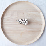 Cone Shell | Conus Marmoreus | 8-9.5cm