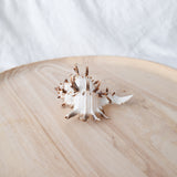 White Murex Shell | 9.5-11cm