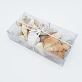 Cream Shell Variety Pack