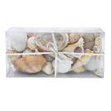 Cream Shell Variety Pack