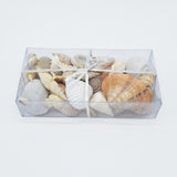 Cream Shell Variety Pack