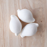 White Ovula Ovum Shell | 7-8.5