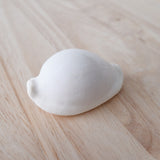 White Ovula Ovum Shell | 7-8.5