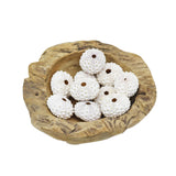 Knobby White Sea Urchin | 5-6.5cm