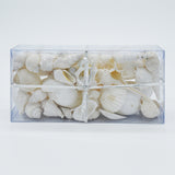 White Shell Variety Pack