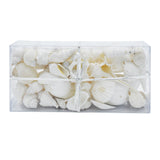 White Shell Variety Pack
