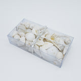 White Shell Variety Pack