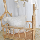 White Island Palm Cushion