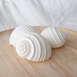 White Tonna Shell