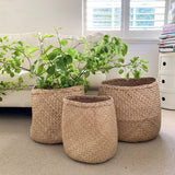 Seagrass Basket