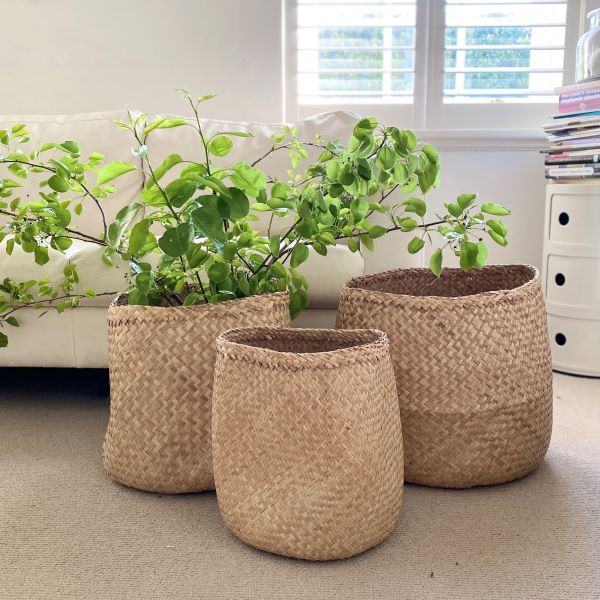 Seagrass Basket