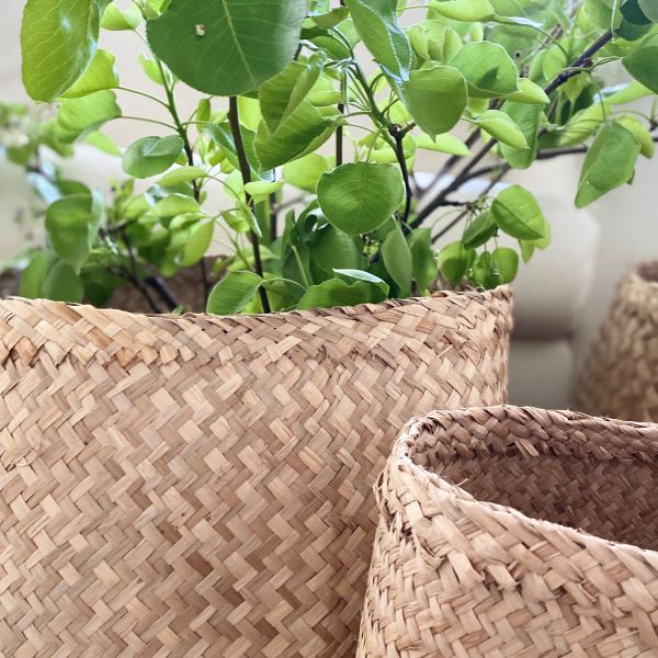 Seagrass Basket