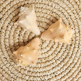 Crown Conch Shell | Melongena conch | 8.5-9cm