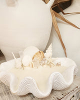 Clam pina colada crystal shell candle