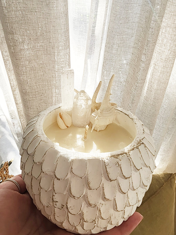 Calypso coconut lime shell candle