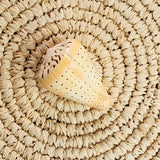 Yellow Cone Shell | Conus betulinus | 8-9cm