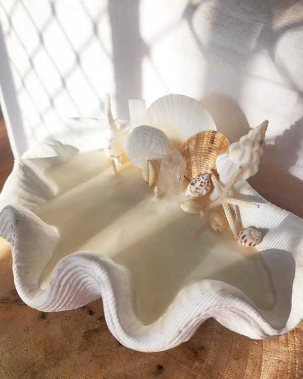 Clam pina colada crystal shell candle