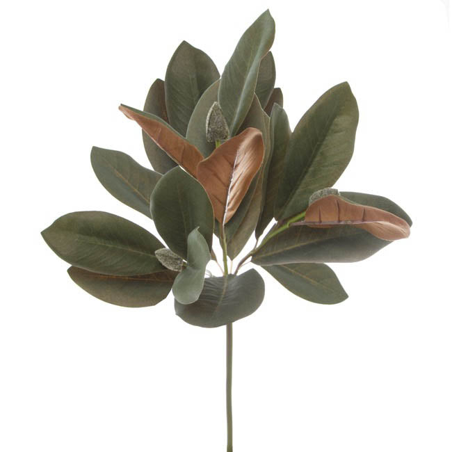 Artificial Magnolia Leaves | Faux Plant | Stem | Tropical Decor ...