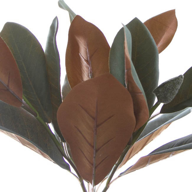 Artificial Magnolia Leaves