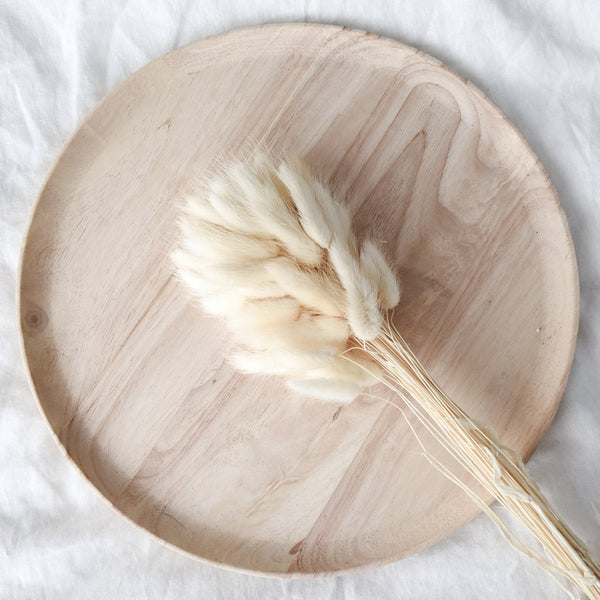 Dried White Bunny Tail Grass - 60 Stems