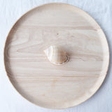 Cassis Shell | 7-8.5cm