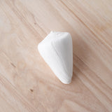 White Cone Shell | Conus Quericinus | 8-9cm