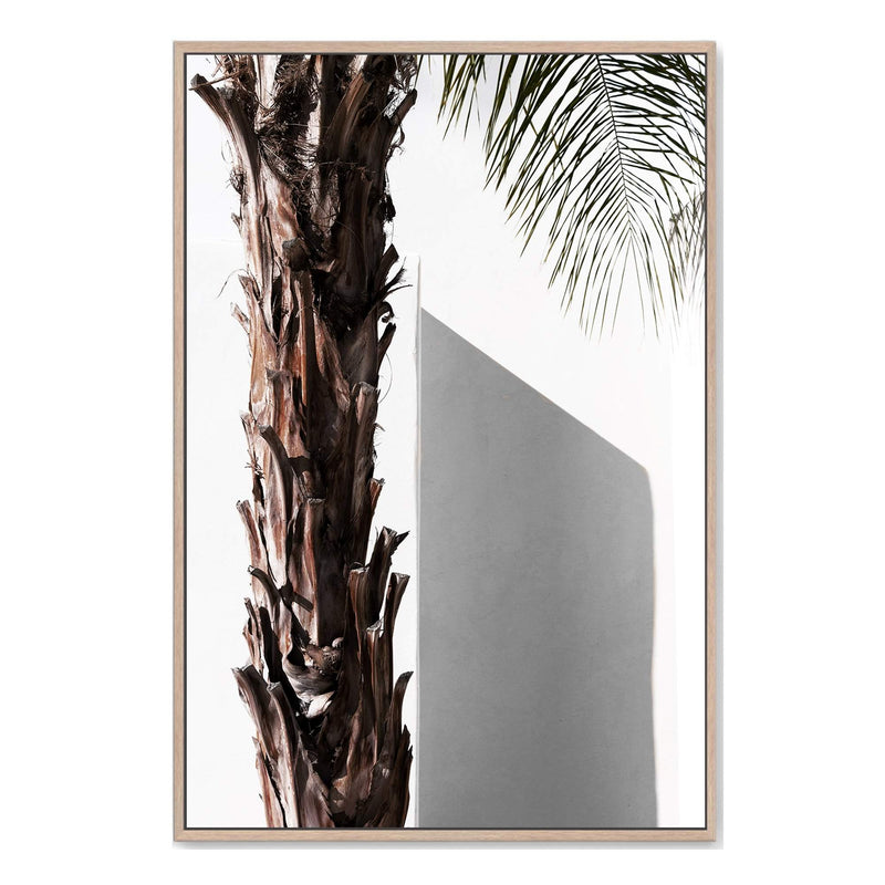 Palm Tree shapes-Boho Abode-architecture,Art Print,Bohemian,Boho,Canvas,coast,coastal,Framed Print,hamptons,neutral,palm,palm tree,portrait,Print,timber door,white