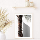 Palm Tree shapes-Boho Abode-architecture,Art Print,Bohemian,Boho,Canvas,coast,coastal,Framed Print,hamptons,neutral,palm,palm tree,portrait,Print,timber door,white