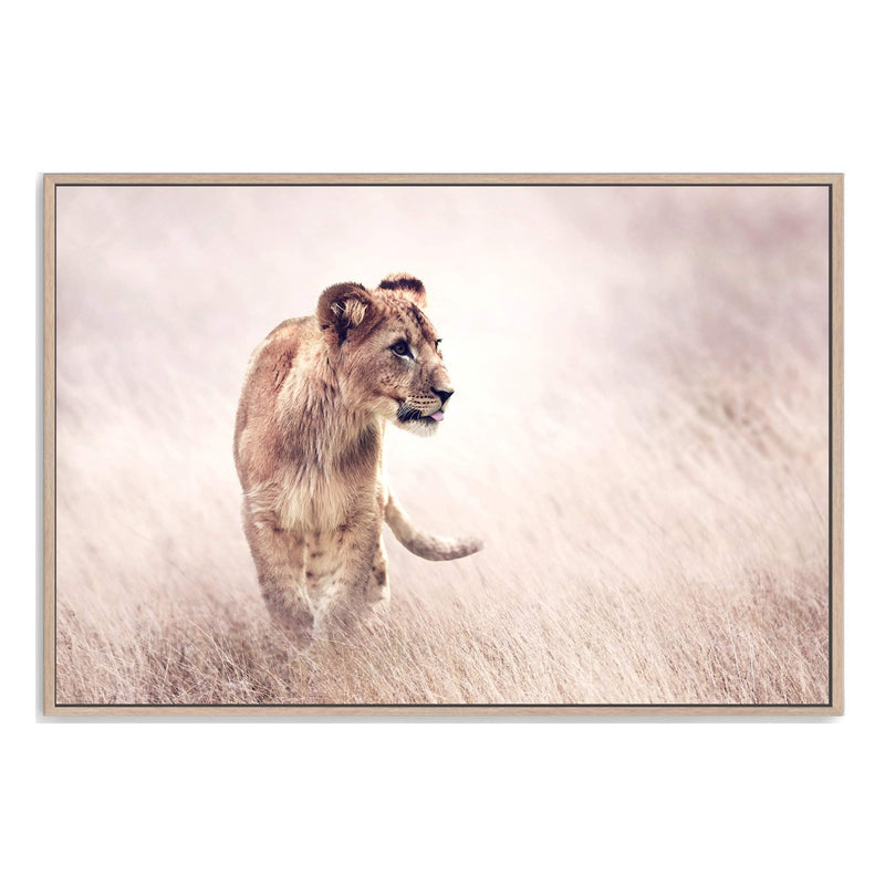 Lion In The Grass-Boho Abode-africa,animal,Art Print,beige,blush,Bohemian,Boho,Canvas,cream,Framed Print,grass,lion,neutral,Print,rustic,stallion,tan