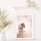 Lion In The Grass Plains-Boho Abode-africa,animal,Art Print,beige,blush,Bohemian,Boho,Canvas,cream,Framed Print,grass,lion,neutral,portrait,Print,rustic,tan