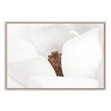 White Magnolia Flower-Boho Abode-Art Print,blooms,Bohemian,Boho,Canvas,cream,floral,flower,Framed Print,ivory,landscape,magnolia,magnolia flower,neutral,Print,scandi,white,white magnolia