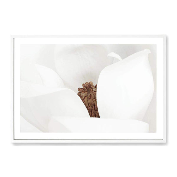 White Magnolia Flower-Boho Abode-Art Print,blooms,Bohemian,Boho,Canvas,cream,floral,flower,Framed Print,ivory,landscape,magnolia,magnolia flower,neutral,Print,scandi,white,white magnolia