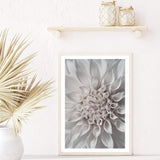 Dahlia Flower-Boho Abode-Art Print,blooms,Bohemian,Boho,Canvas,cream,dahlia,dahlia flower,floral,flower,Framed Print,ivory,neutral,portrait,Print,scandi,white