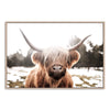 Highland Cow | Bohemian-Boho Abode-Art Print,Bohemian,Boho,bull,Canvas,cow,Framed Print,highland bull,highland cattle,Highland cow,landscape,Print,rustic,tan