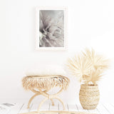 Ivory Dahlia Flower-Boho Abode-Art Print,blooms,Bohemian,Boho,Canvas,cream,dahlia,dahlia flower,floral,flower,Framed Print,ivory,neutral,portrait,Print,scandi,white