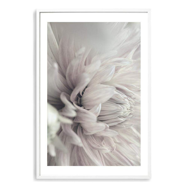 Ivory Dahlia Flower-Boho Abode-Art Print,blooms,Bohemian,Boho,Canvas,cream,dahlia,dahlia flower,floral,flower,Framed Print,ivory,neutral,portrait,Print,scandi,white