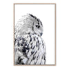 White Owl-Boho Abode-Art Print,bird,black,Bohemian,Boho,Canvas,coast,coastal,Framed Print,hamptons,landscape,owl,Print,white,White owl