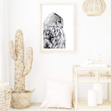 White Owl-Boho Abode-Art Print,bird,black,Bohemian,Boho,Canvas,coast,coastal,Framed Print,hamptons,landscape,owl,Print,white,White owl