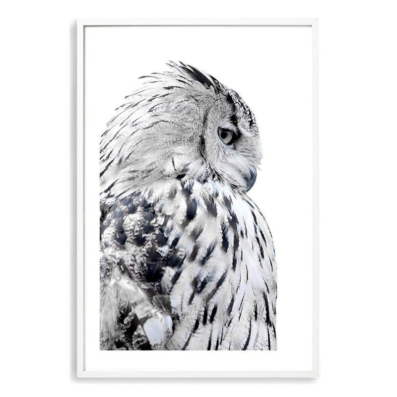 White Owl-Boho Abode-Art Print,bird,black,Bohemian,Boho,Canvas,coast,coastal,Framed Print,hamptons,landscape,owl,Print,white,White owl