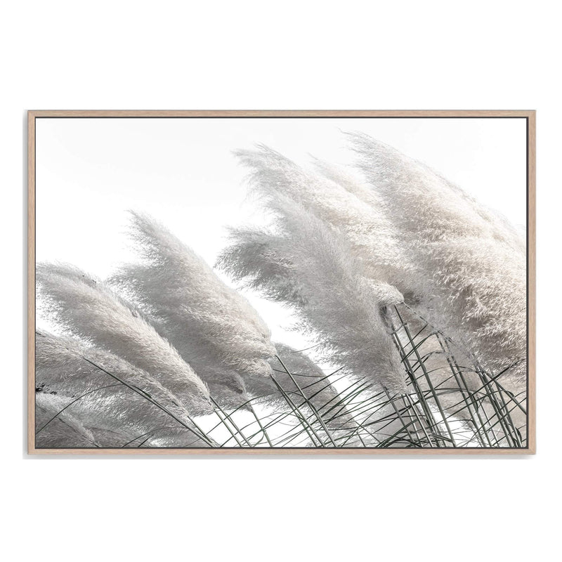 White Pampas Grass-Boho Abode-Art Print,beach,Bohemian,Boho,Canvas,coastal,Framed Print,grass,landscape,Neutral,pampas grass,Print,tall grass,white