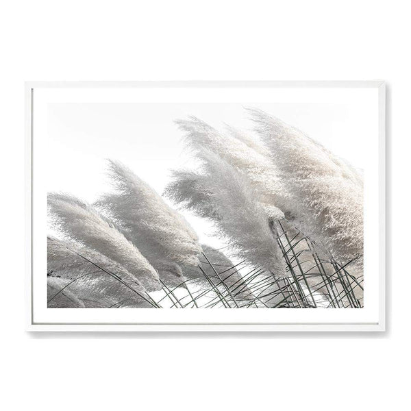 White Pampas Grass-Boho Abode-Art Print,beach,Bohemian,Boho,Canvas,coastal,Framed Print,grass,landscape,Neutral,pampas grass,Print,tall grass,white