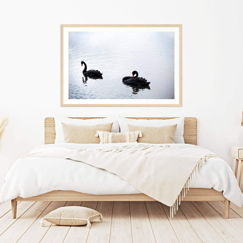 Black Swans-Boho Abode-Art Print,australia,australian,australian beach,beach,black swan,blue,Bohemian,Boho,Canvas,coast,coastal,Framed Print,hamptons,landscape,ocean,paradise,Print,sand,silver,swan,swans,waves